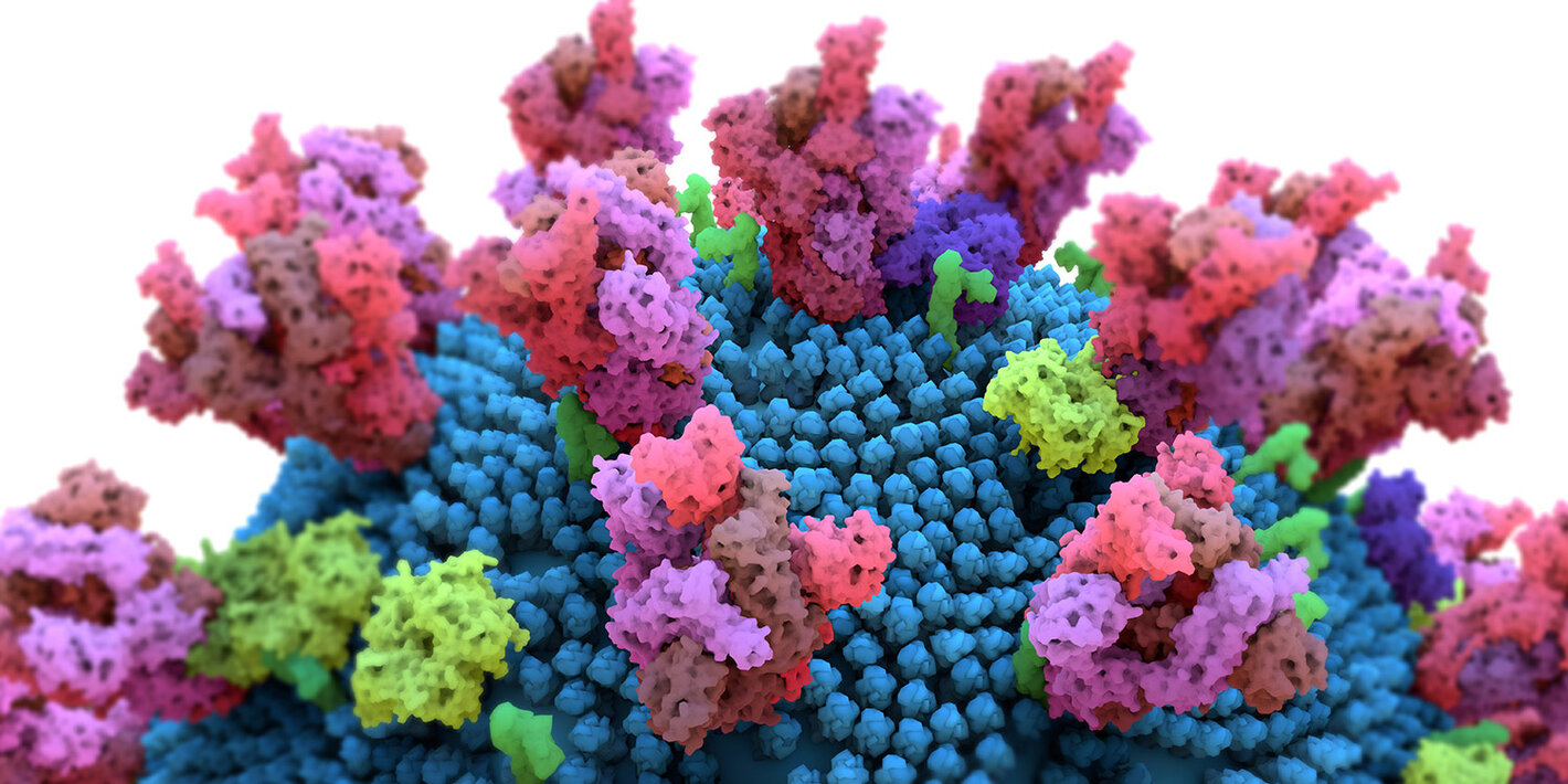 images_2021_Salud_Covid19