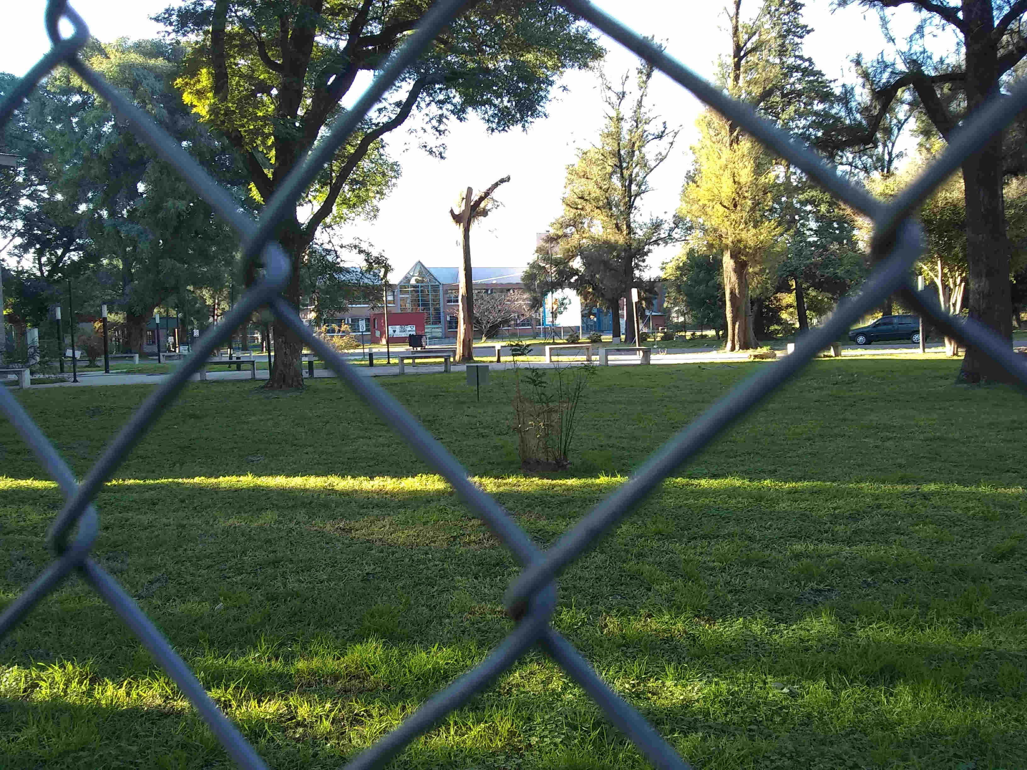 images_2021_EspacioPublico_6al12_AbrazoAgronomia_3