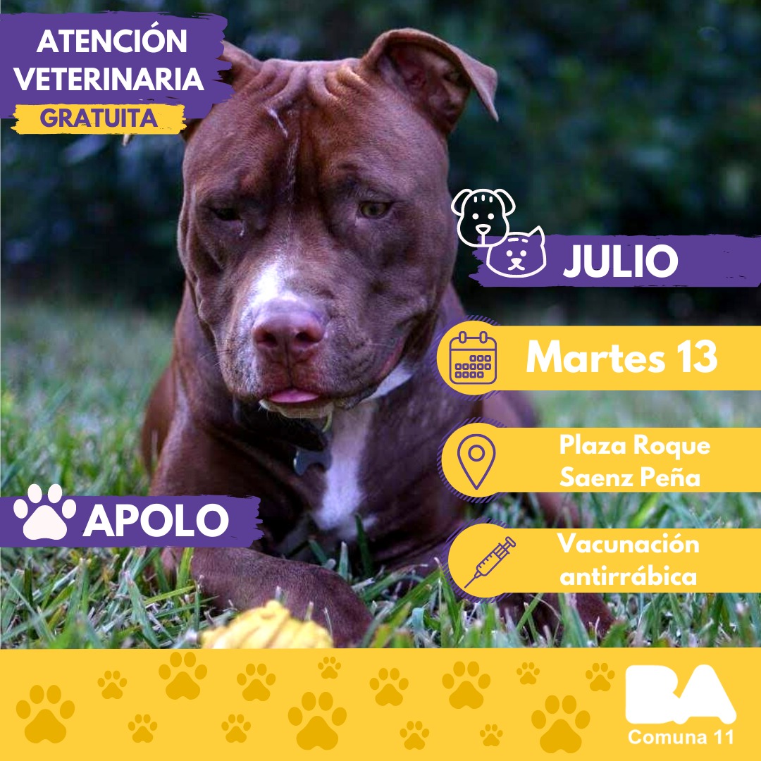 images_2021_Vecinales_Antirrabica_2