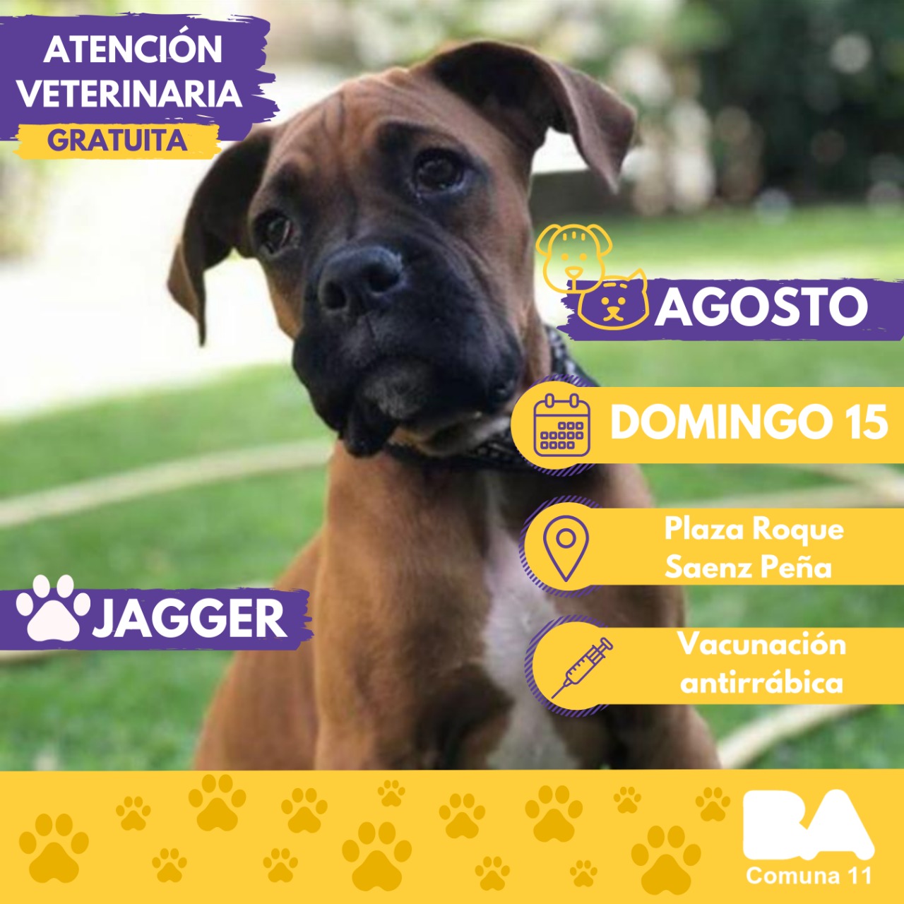 images_2021_EspacioPublico_6al12_AtVete_3