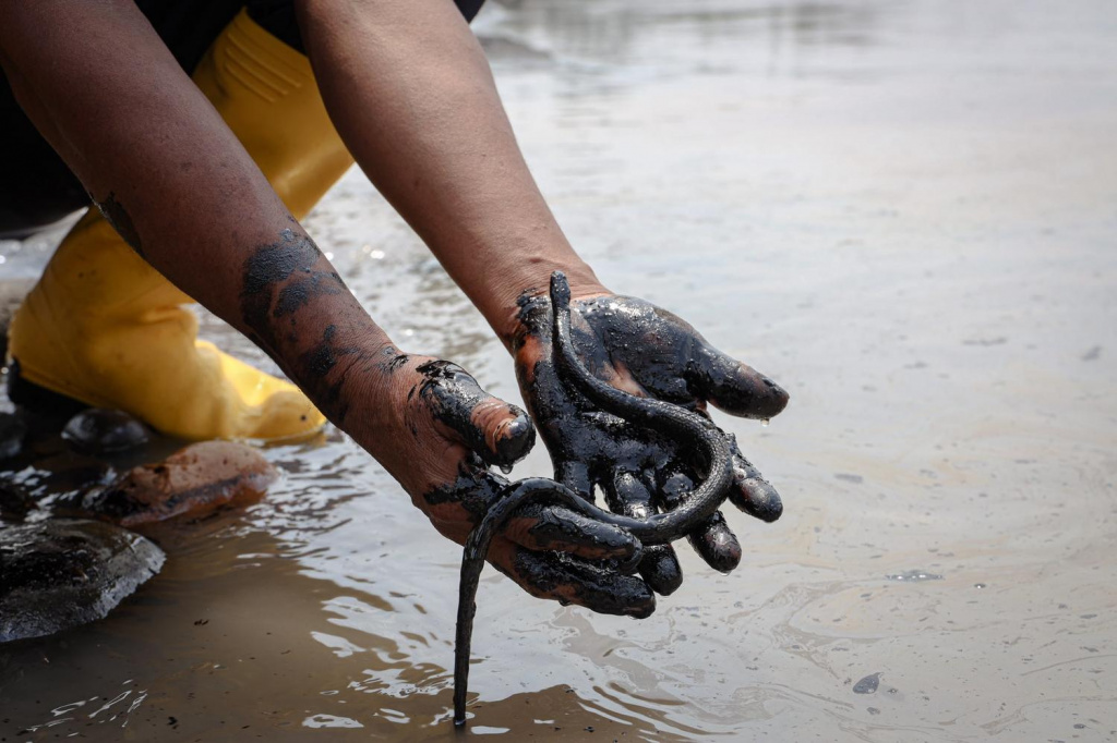 images_2022_Salud_2022-ecuador-derrame