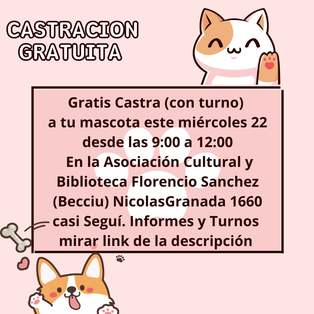 images_2023_Vecinales_CastranBiblio