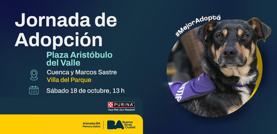 Adopcion-Jornada